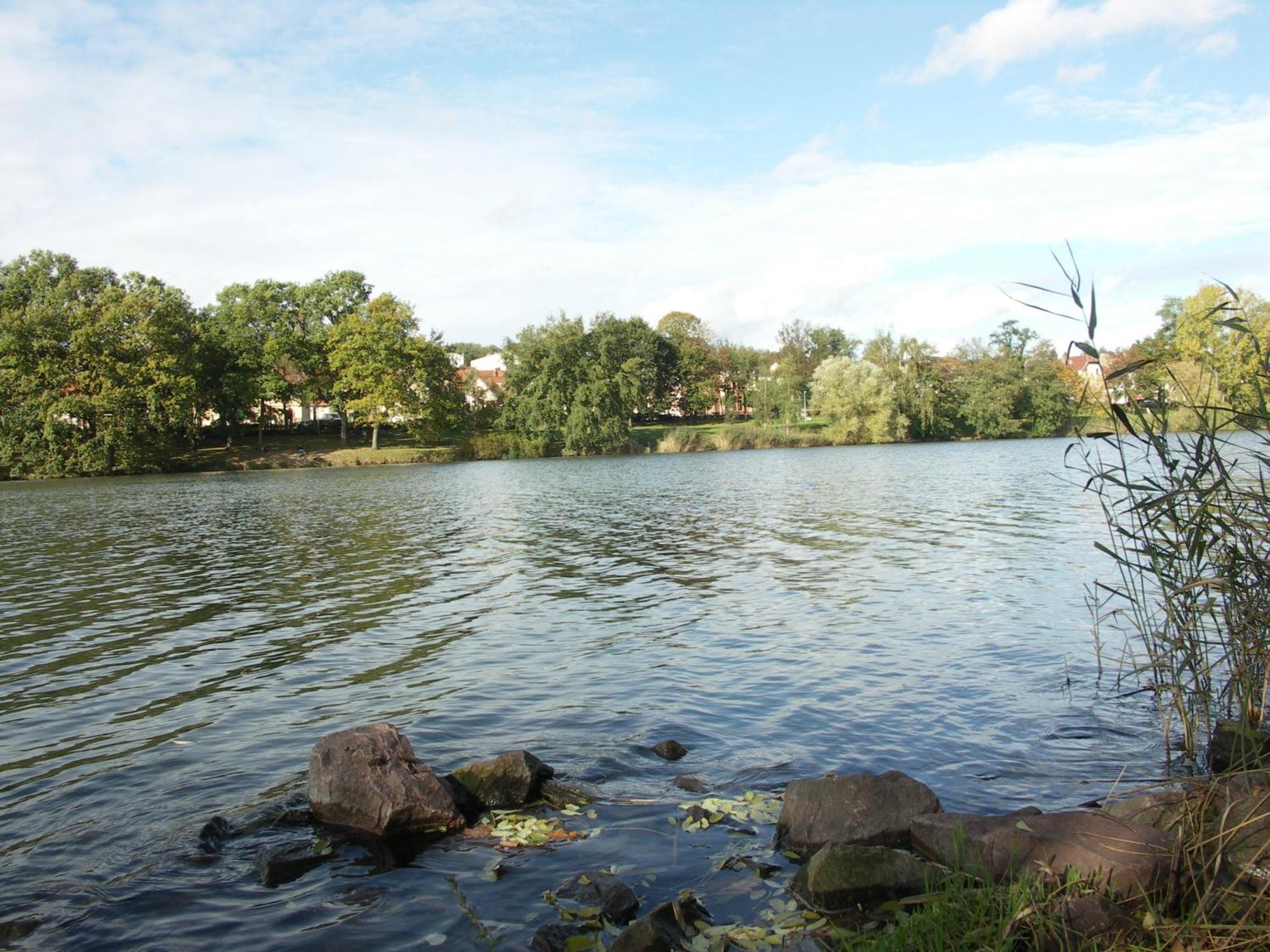 The Originals City, Hotel Et Restaurant Aster, Saint-Avold Nord Creutzwald Zewnętrze zdjęcie
